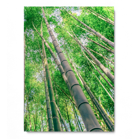 Green Bamboo [3]