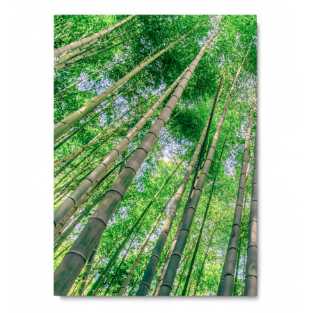 Green Bamboo [2]