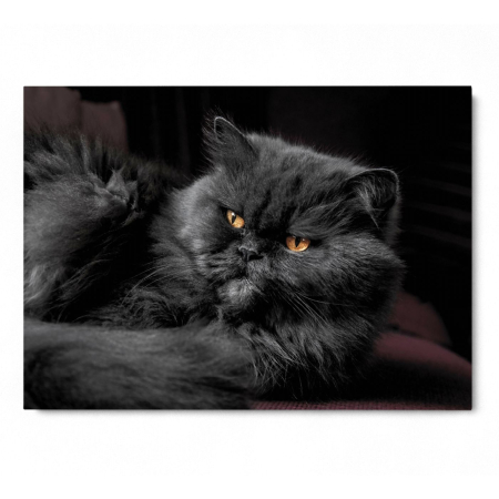 Grumpy Face Landscape [2]