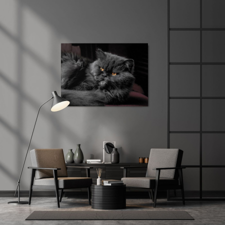 Animals - Grumpy Face Landscape