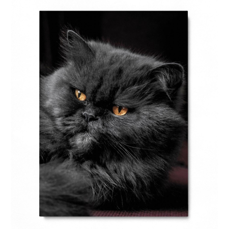 Grumpy Face Portrait [2]