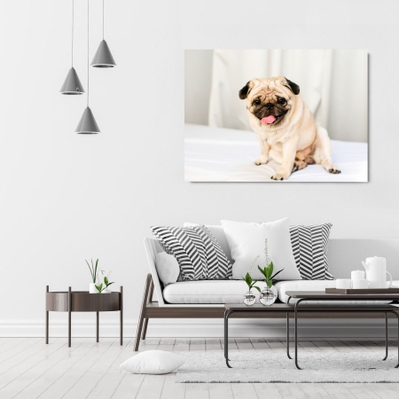 Happy Pug Landscape [1]