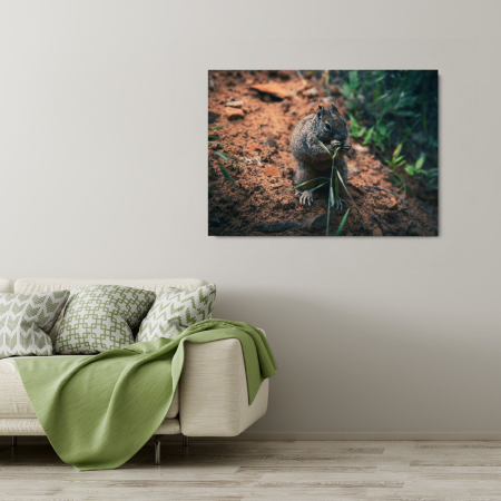 Hungry Squirrel Landscape [1]