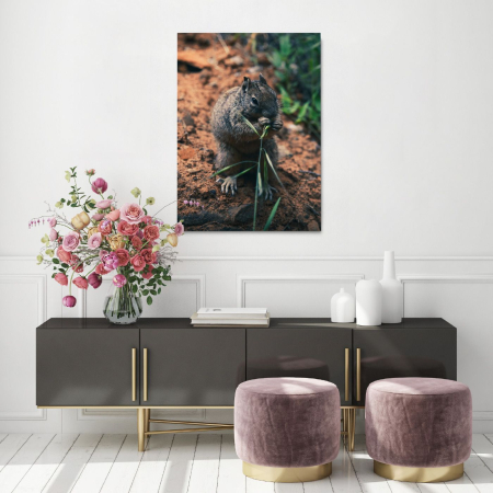 Hungry Squirrel Portrait [1]