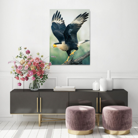 Animals - Legendary Eagle Portrait