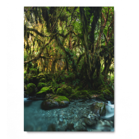 Moss Waterfall [3]