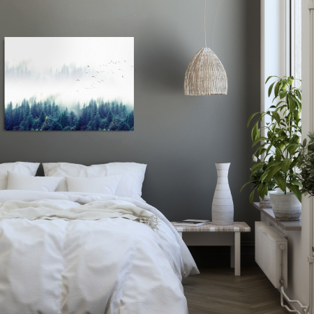 NATURE - Mystical Fog