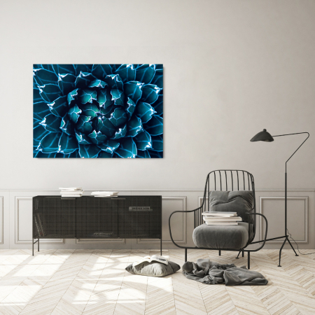 Flowers - Nature Shell