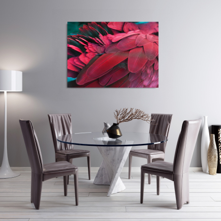 Parrot Close Up Landscape [1]