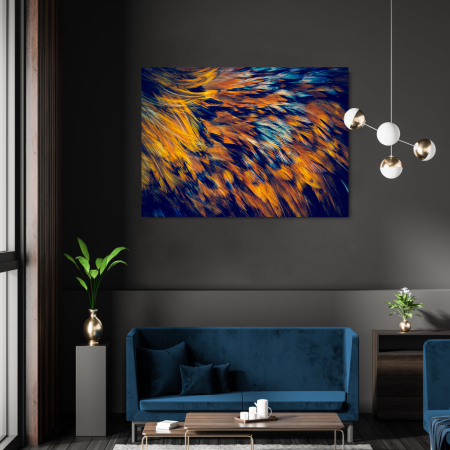 Animals - Plumage Landscape