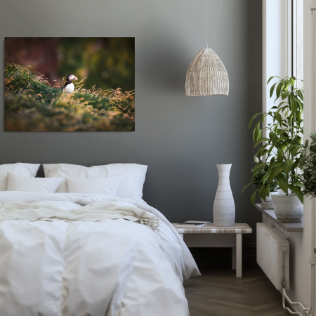 Puffin Landscape [1]