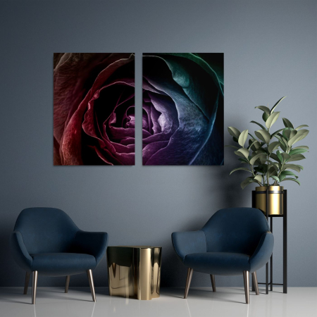 Multicanvas - Rose on focus