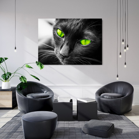 Animals - Sharp Eyes Landscape