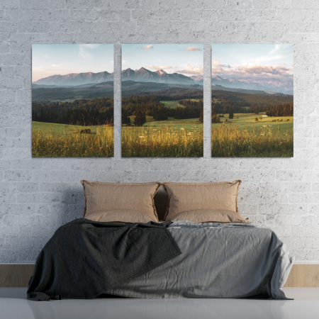 Multicanvas - Spring Sunrise