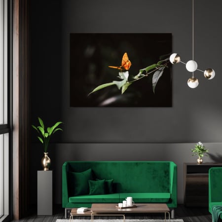 Animals - Take off Landscape