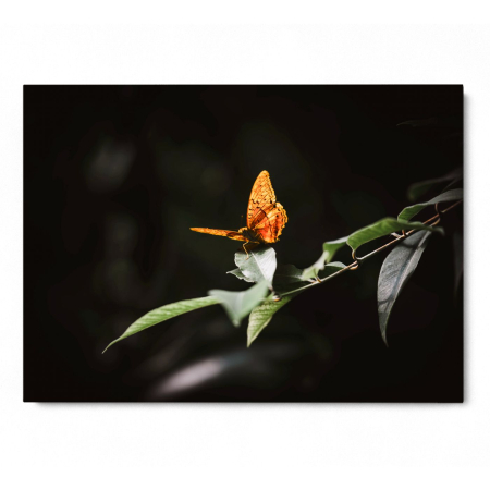 Take off Landscape [2]