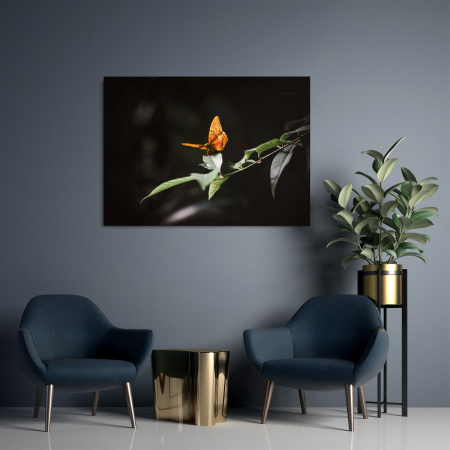 Take off Landscape [1]