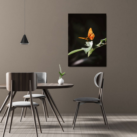 Take off Portrait [1]