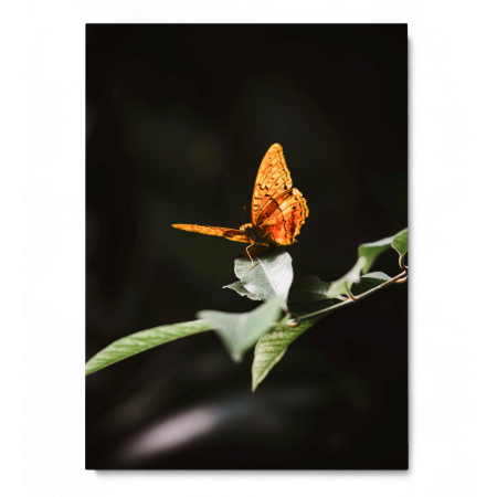 Take off Portrait [2]