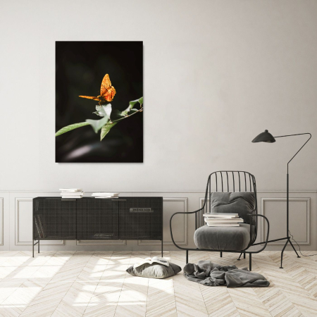 Animals - Take off Portrait