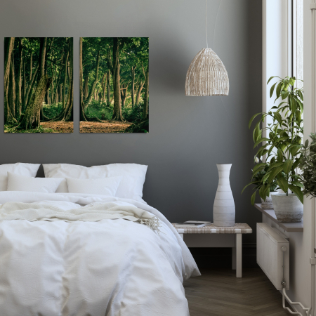 Tropical Forest India [1]