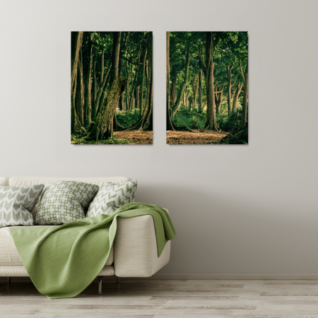 Multicanvas - Tropical Forest India