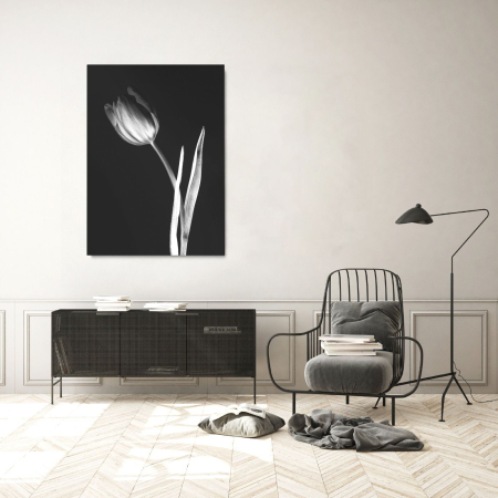 Flowers - Tulip Black