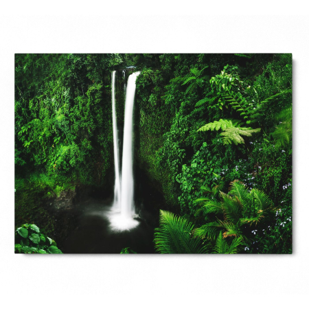 Waterfall in Samoa [2]