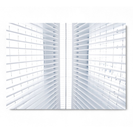 White Ribs in the Ceiling [2]