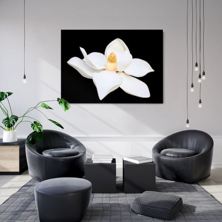 Flowers - White Wonder