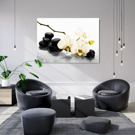 Flowers - Zen Orchid