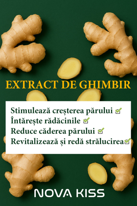 Balsam BioActiv Premium pentru Par cu Ghimbir si Plante Medicinale, Formula Fara Parabeni si SLS, NOVA KISS®, 300 ml [3]