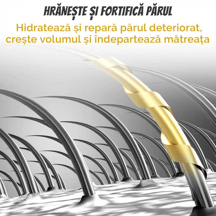 SAMPON SOLID PREMIUM CU GHIMBIR CONTRA CADERII PARULUI, MATRETII SI PARULUI GRAS, EFECT REGENERATOR, 100% NATURAL, NOVA KISS® [3]