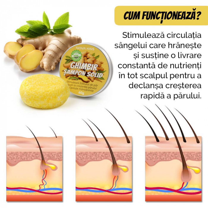 SAMPON SOLID PREMIUM CU GHIMBIR CONTRA CADERII PARULUI, MATRETII SI PARULUI GRAS, EFECT REGENERATOR, 100% NATURAL, NOVA KISS® [5]