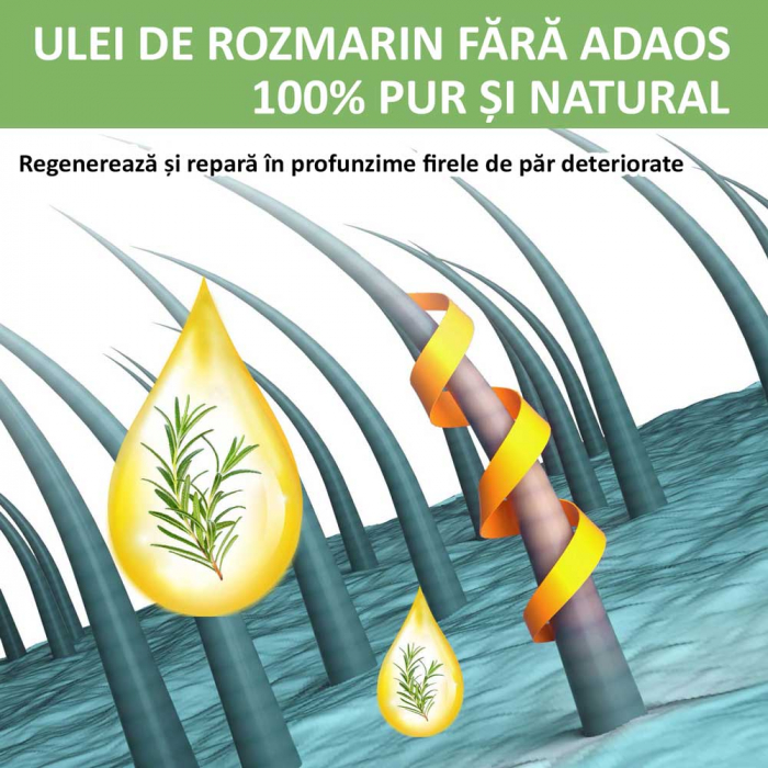 ULEI DE ROZMARIN PREMIUM 100% NATURAL & PUR NOVA KISS® PENTRU CRESTEREA PARULUI SI INGRIJIREA PIELII, 60 ML [4]
