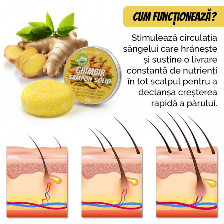SAMPON SOLID PREMIUM CU GHIMBIR CONTRA CADERII PARULUI, MATRETII SI PARULUI GRAS, EFECT REGENERATOR, 100% NATURAL, NOVA KISS® [4]