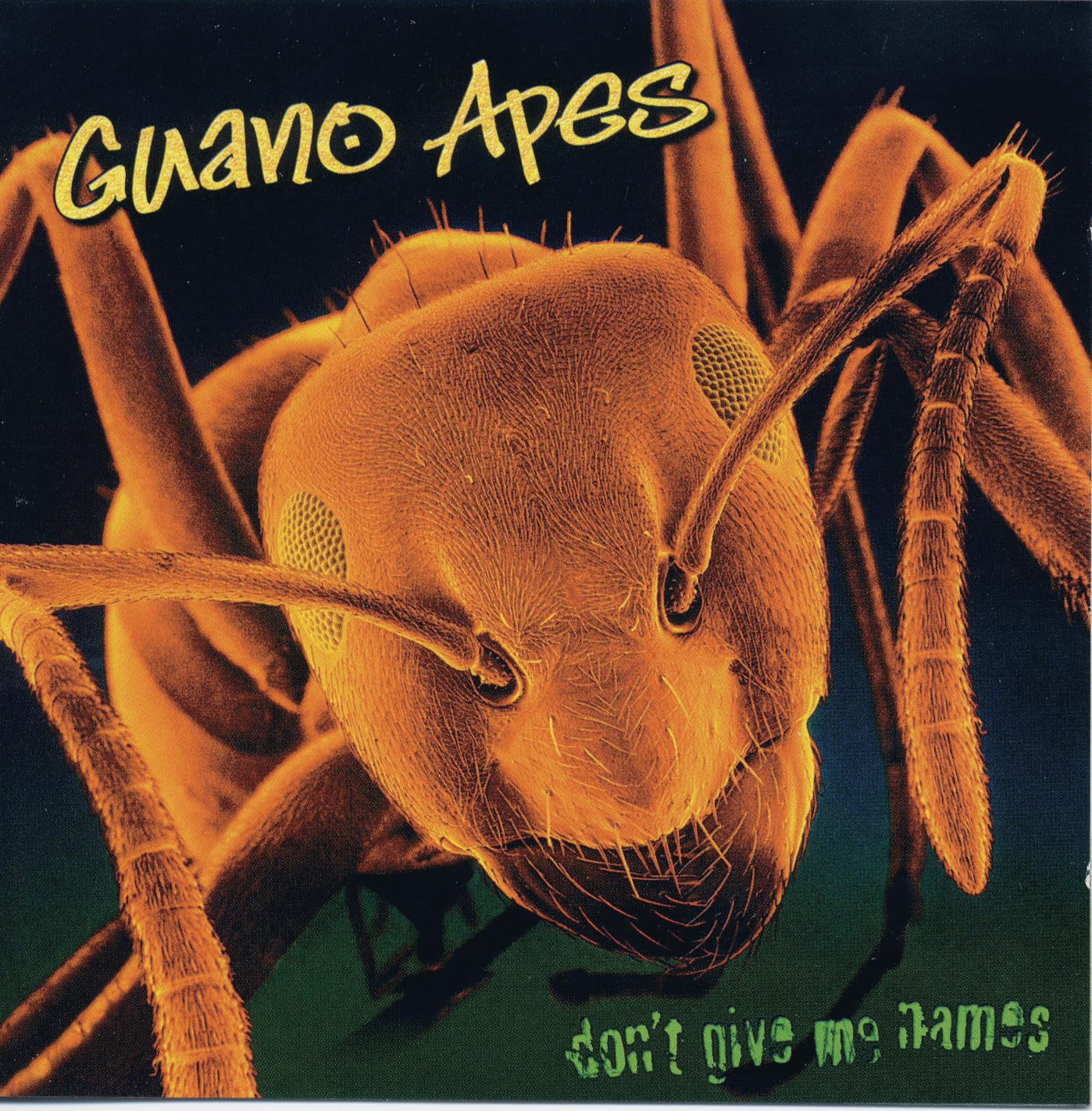 Vinyl - Guano Apes - Don'T Give Me Names - LP