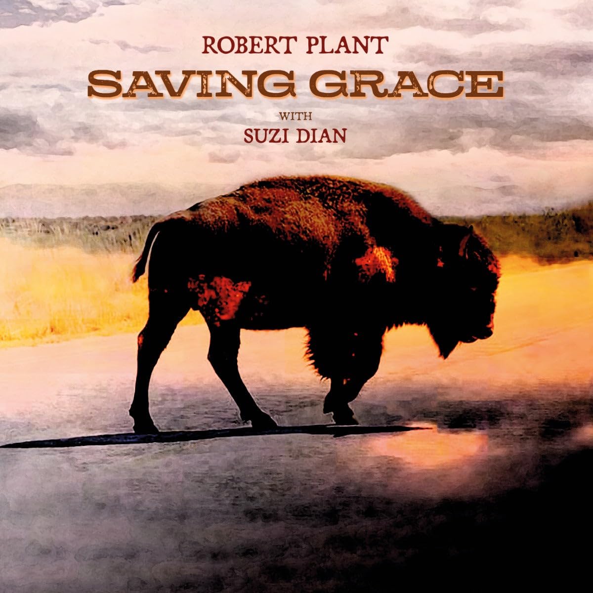 Muzica - Robert Plant - Saving Grace - LP