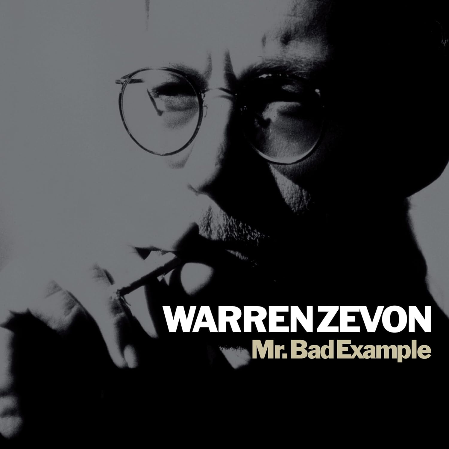 Vinyl - Warren Zevon - Mr. Bad Example - LP