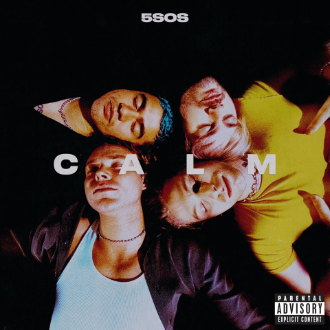 Vinyl - 5 Seconds Of Summer - Calm - LP