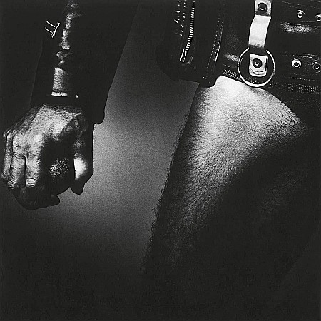 Vinyl - Accept-Balls To The Wall (180g Audiophile Pressing)-LP