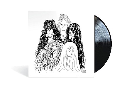 Vinyl - Aerosmith - Draw The Line - LP