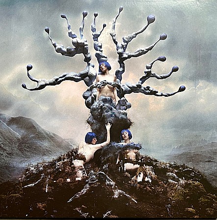 Vinyl - Ashnikko - Weedkiller, Limited Edition, Recycled Vinyl - LP