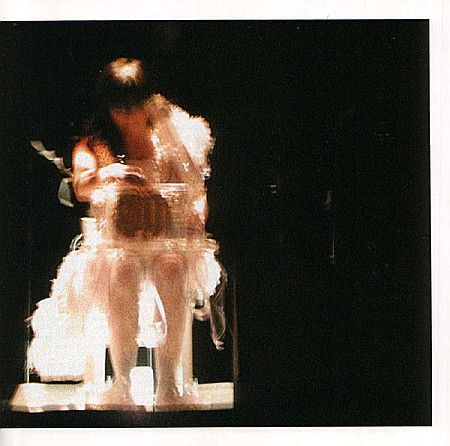 CD - Bjork - Vespertine Live - CD