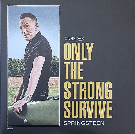 Vinyl - Bruce Springsteen - Only The Strong Survive - 2LP