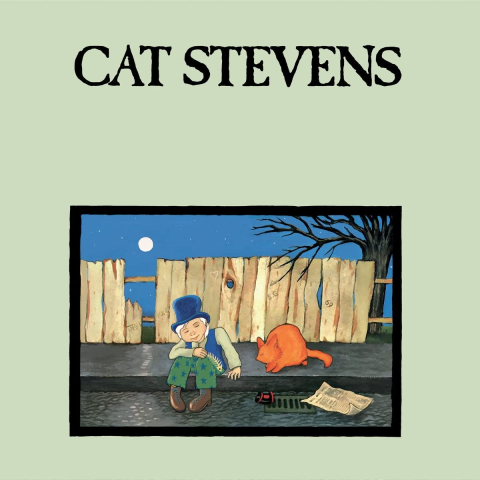 Muzica - Cat Stevens - Teaser And The Firecat - LP