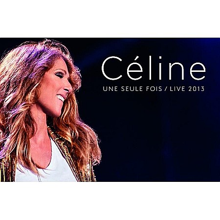 DVD - Celine Dion-Celine... une seule fois / Live 2013-DVD+2CD