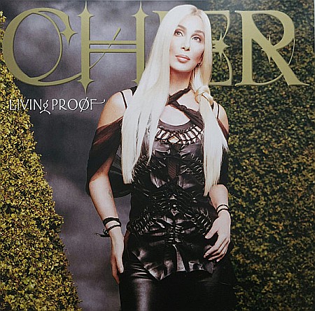Vinyl - Cher - Living Proof - LP