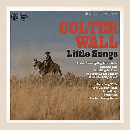 Vinyl - Colter Wall - Little Songs - LP