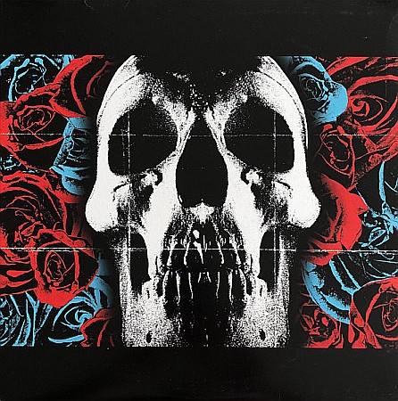 Vinyl - Deftones - Deftones - LP